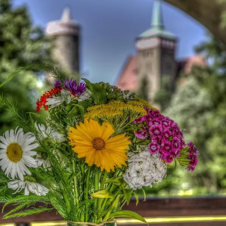 Отель Spree-pension